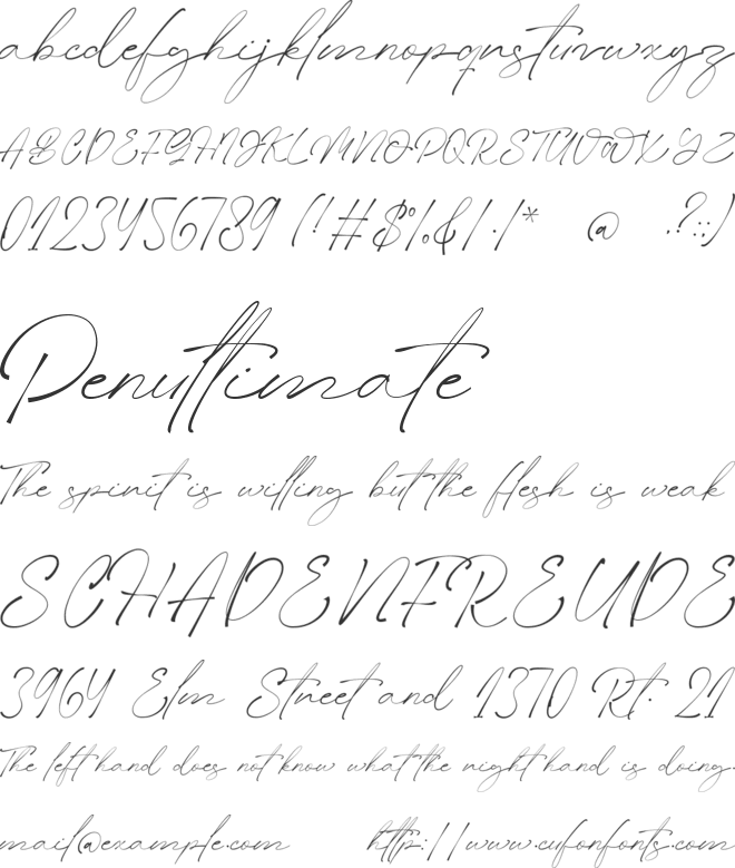 Slashdaily font preview