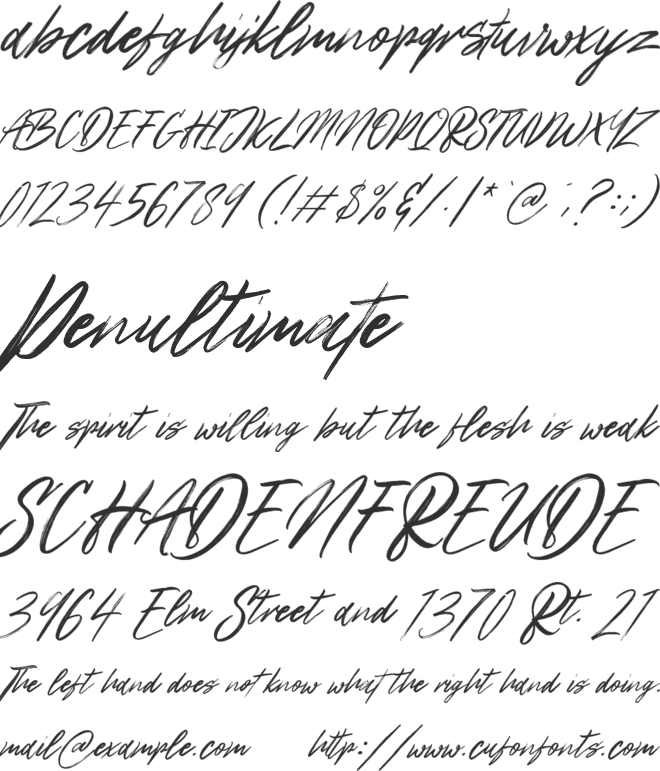 Northloops font preview