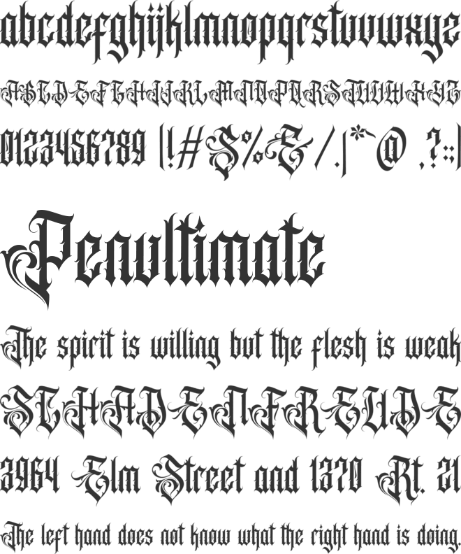 Acinonyx Jubatus Personal Use O font preview