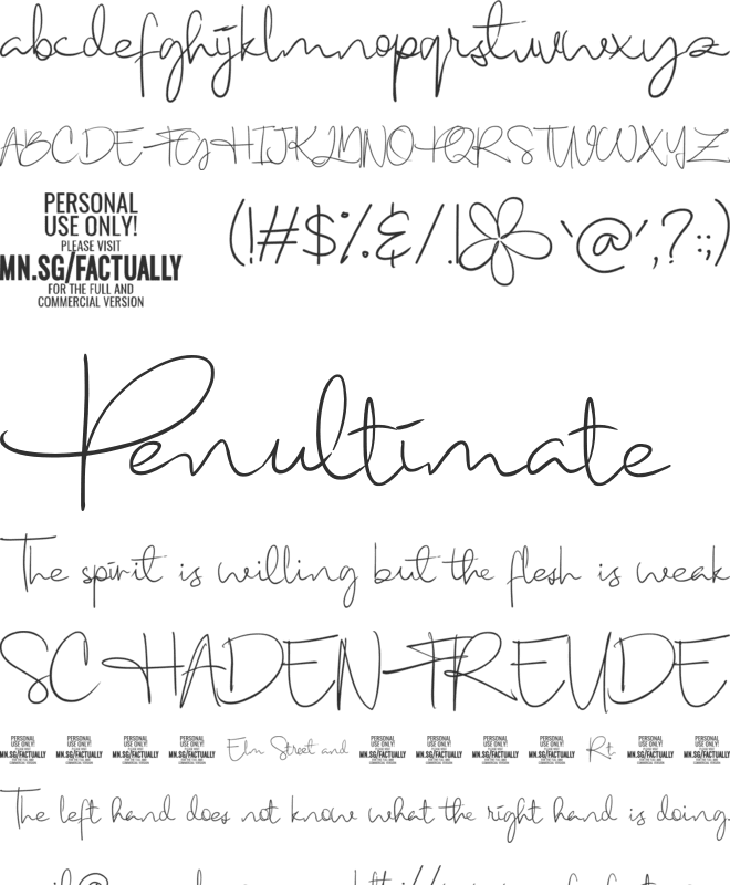 Factually Handwriting PERSONAL font preview