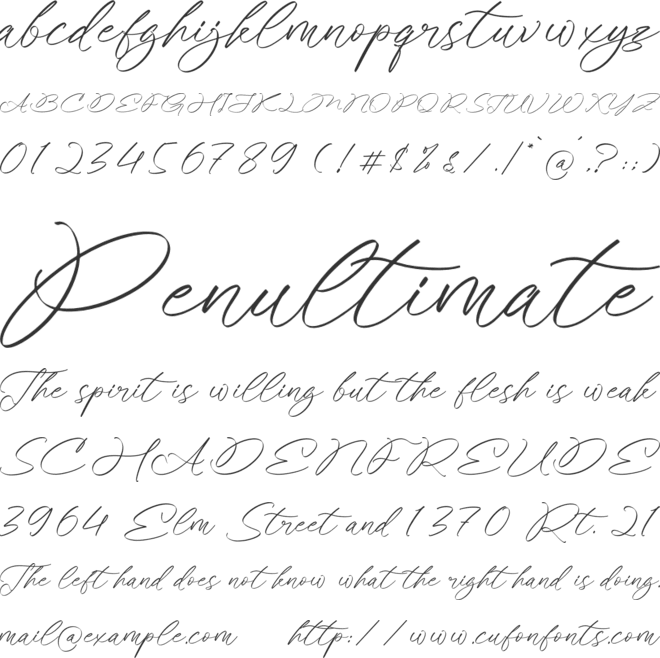 Angela Cindysttar font preview