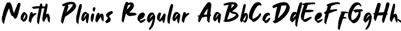 North Plains Regular font