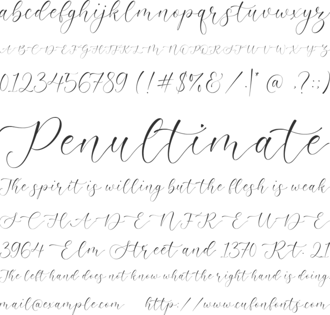 Admire Camelia font preview