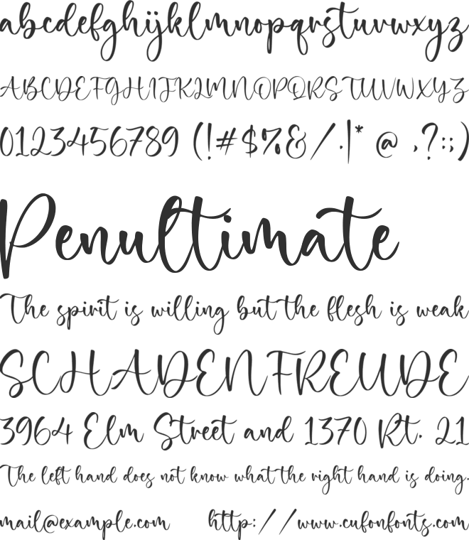 Timberly Anthem font preview