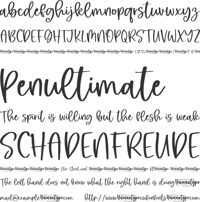 White Birds Personal Use font preview