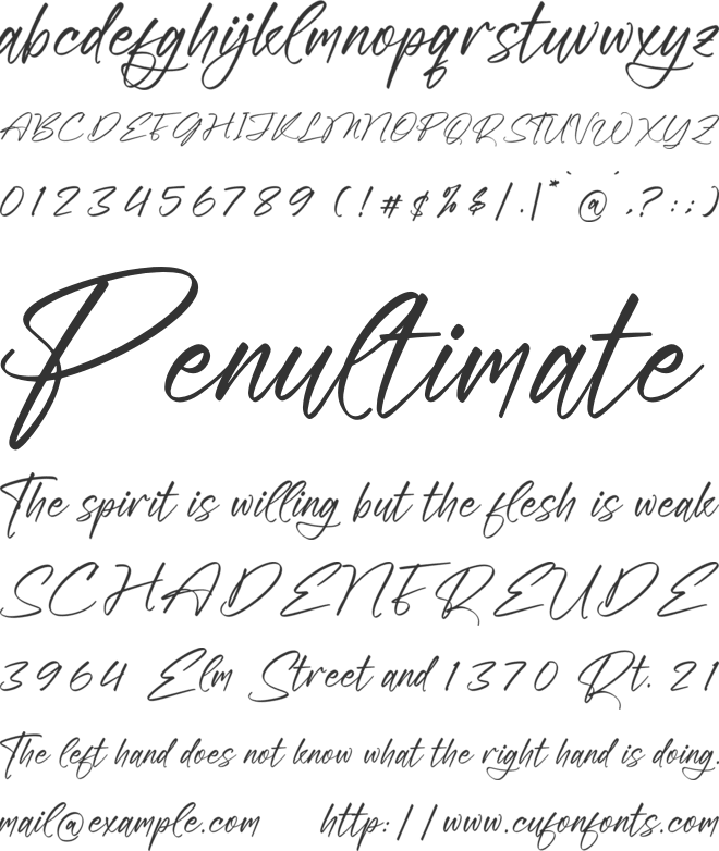 Rieldstomy Madison font preview