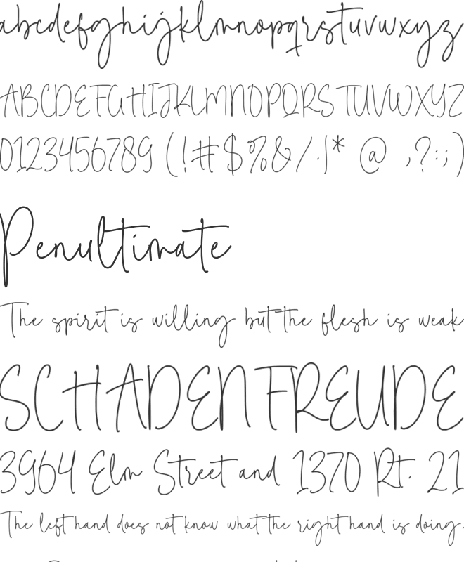 Reading Moments font preview