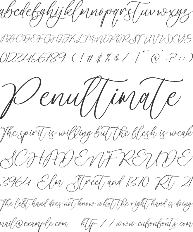 Nekiatha Charley font preview