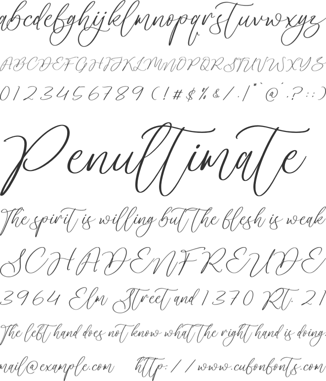 Nekiatha Charley font preview