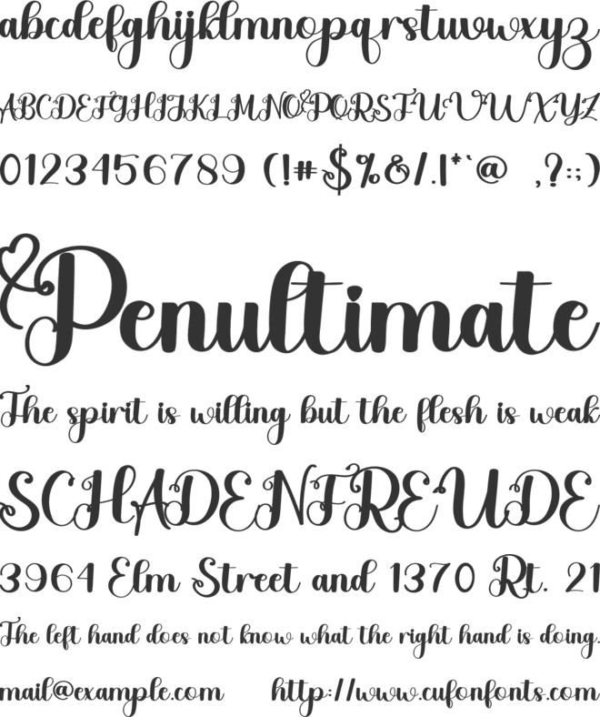 Pretty Vintage font preview