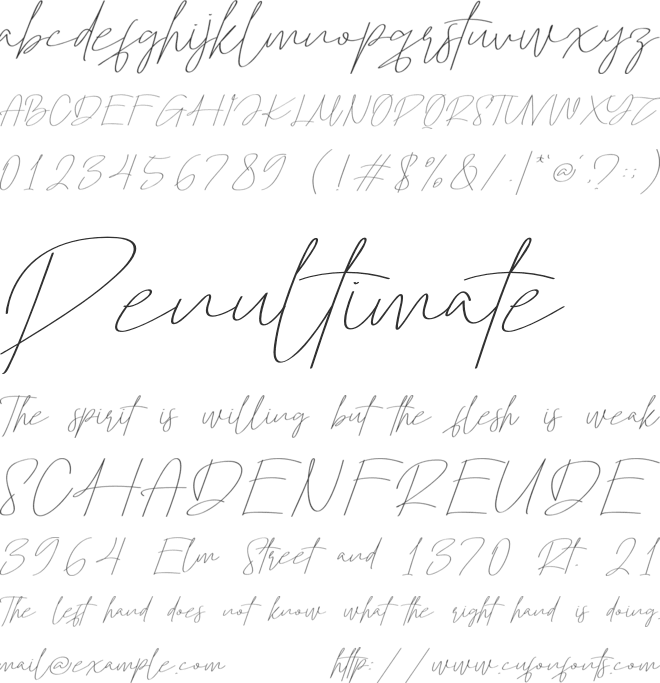 Montelgo Script font preview