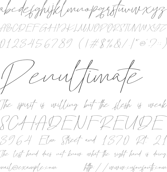 Montelgo Script font preview