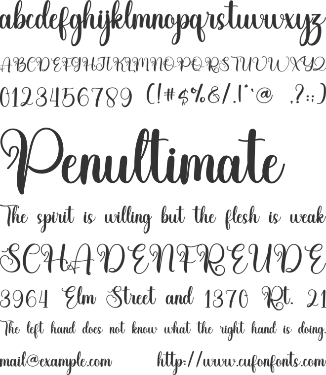 Buffalo font preview