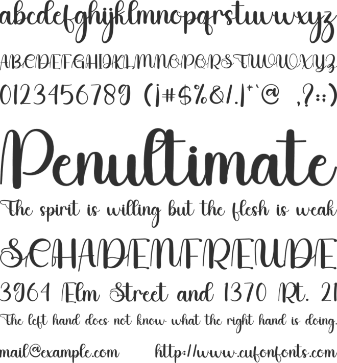 Selling font preview