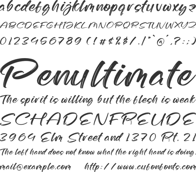 Hicks Bryant font preview