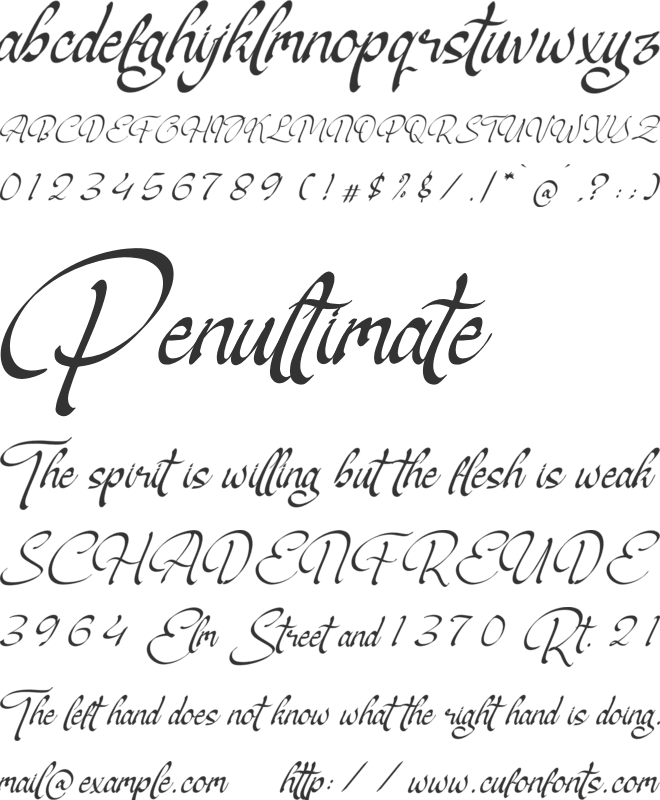Fieldsttone font preview