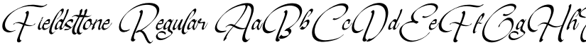 Fieldsttone font download