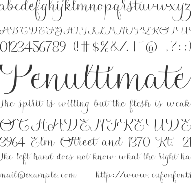 shifabella font preview