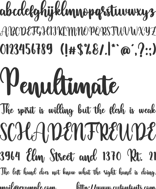 snowday font preview