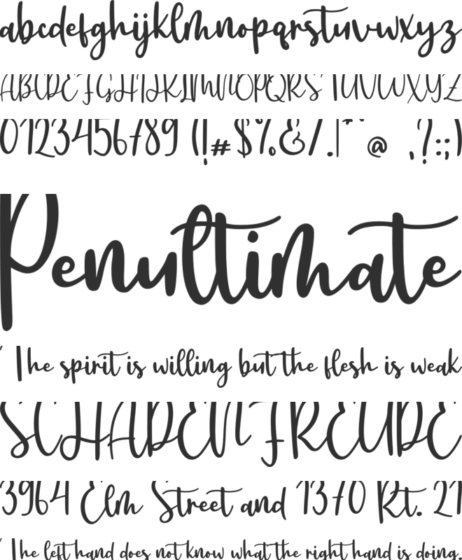 Oneday font preview