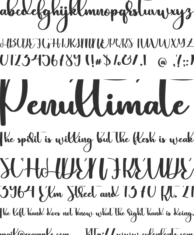 Suedey font preview