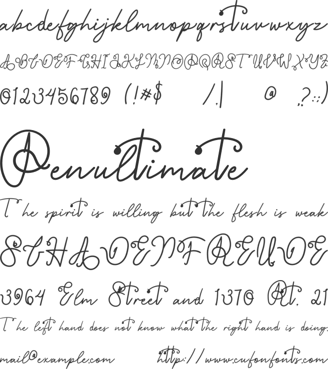 HeyFlamingo font preview