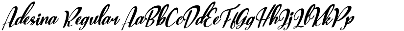 Adesina Regular font