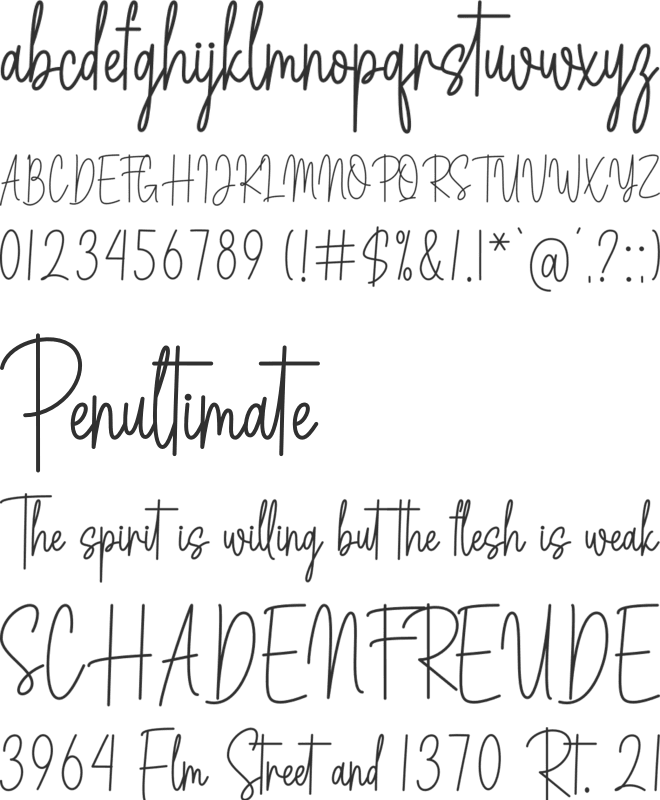 Amsterdam Signature font preview