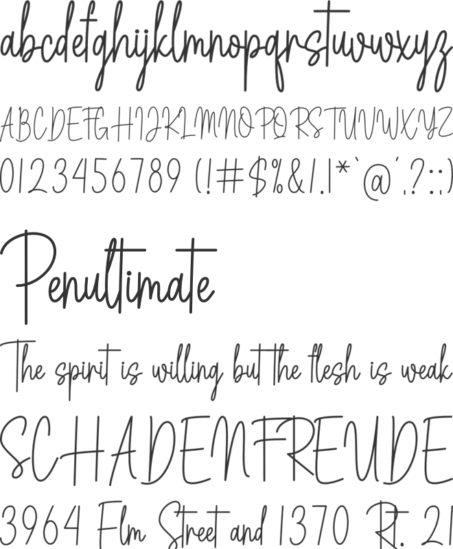 Amsterdam Signature font preview