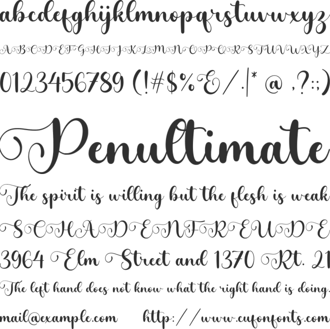 Delightica font preview