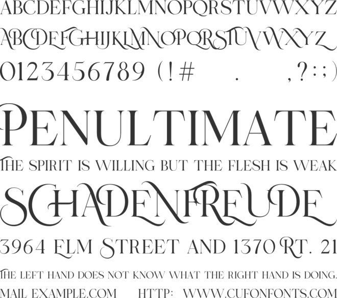 Rusilla serif font preview