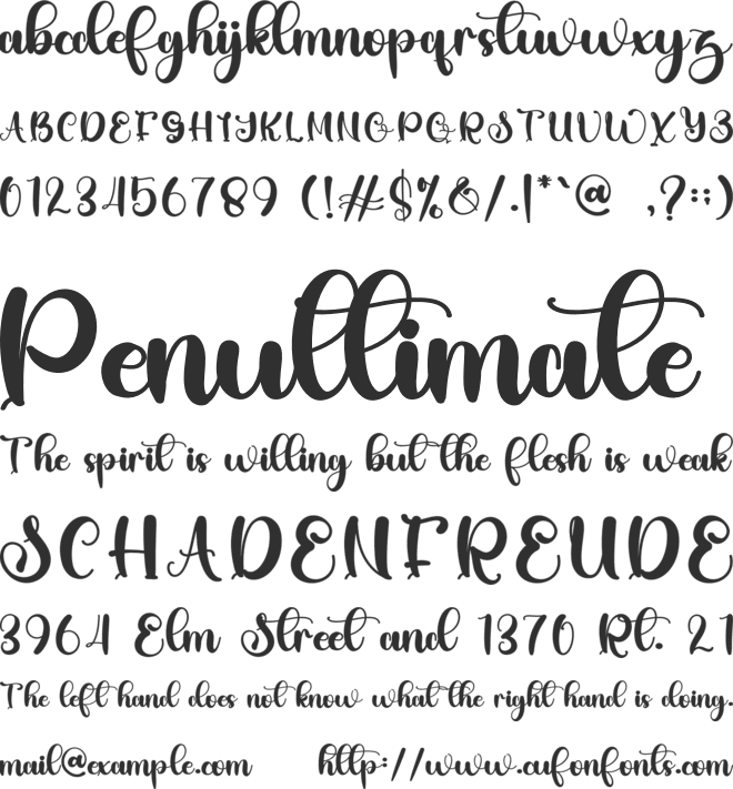 Daily Christmas font preview