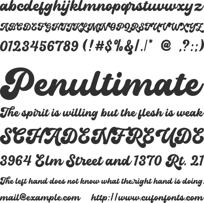 Roadster Script font preview