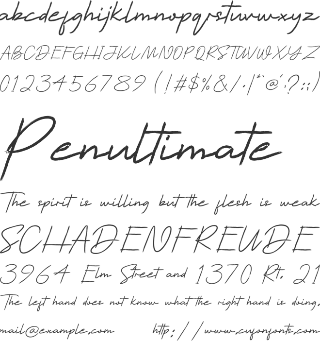 Corethan Script font preview