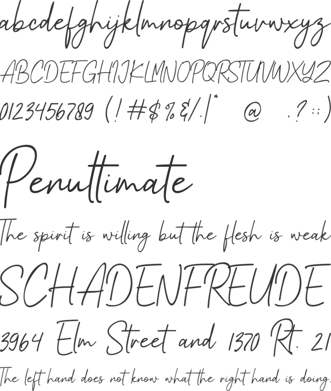 Vittagon font preview