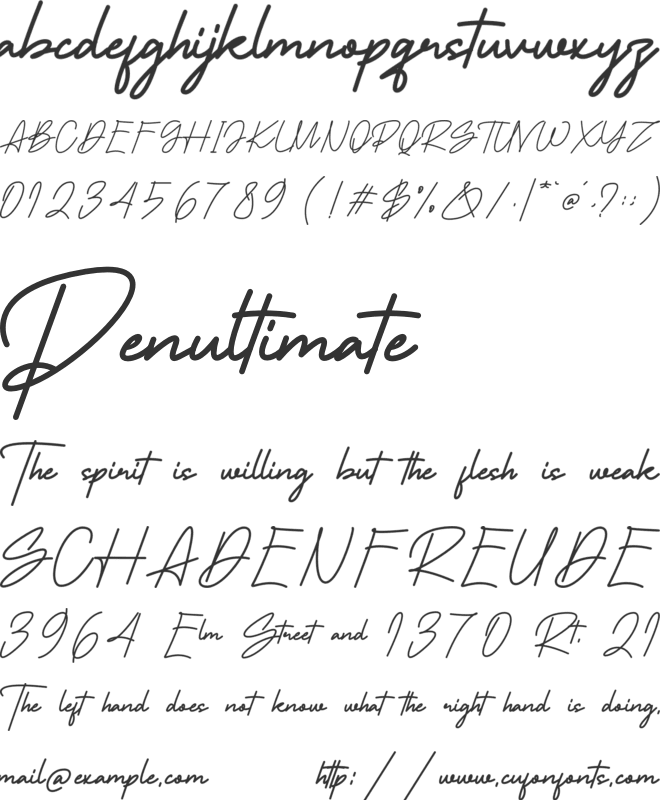 Pachoste font preview