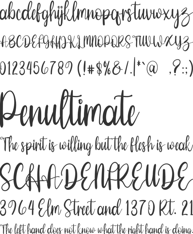 Amelliya font preview