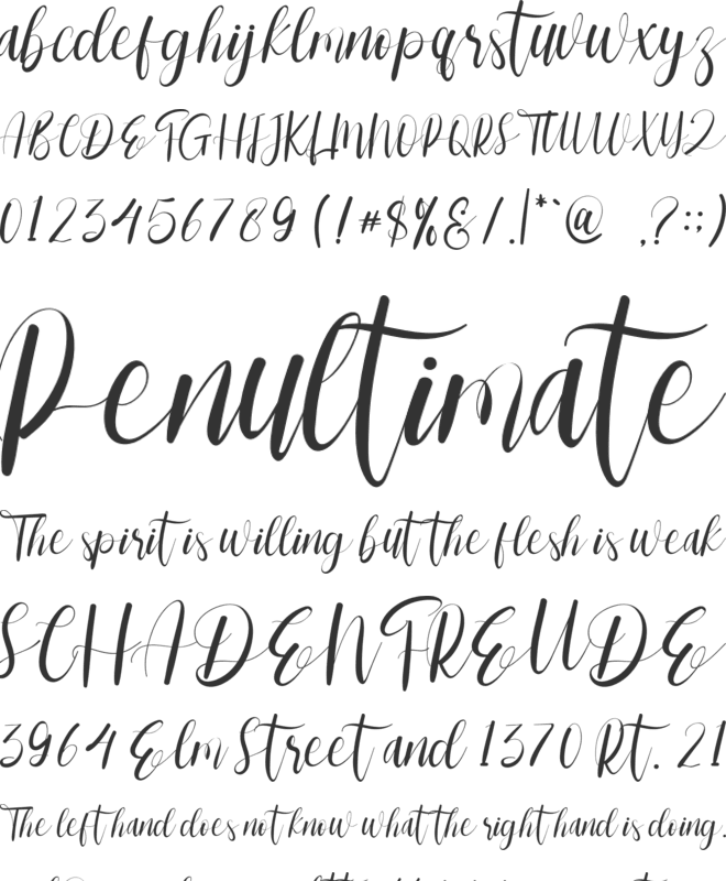 Wonderlife font preview