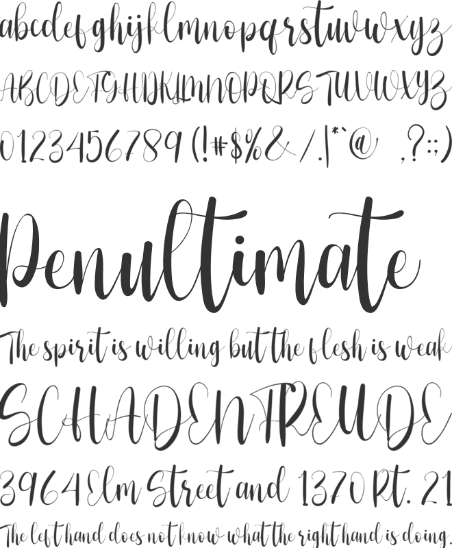 Hello Ladies font preview