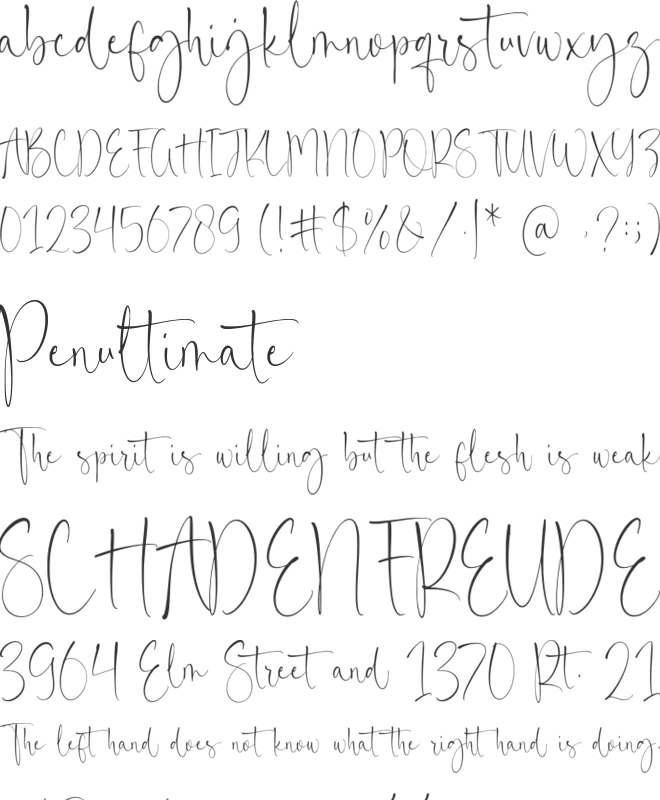 Royals Boutique font preview