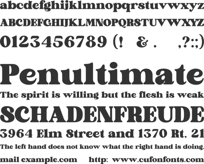 Brighton vintage font preview