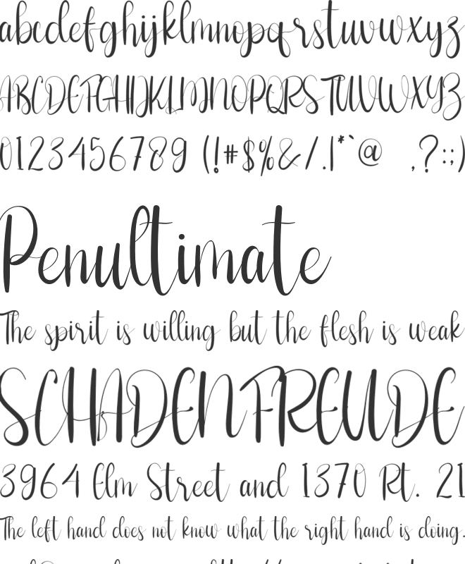 Shooting font preview