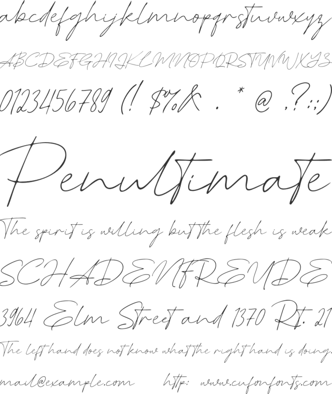 Monday July font preview