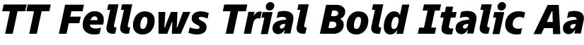 TT Fellows Trial Bold Italic font