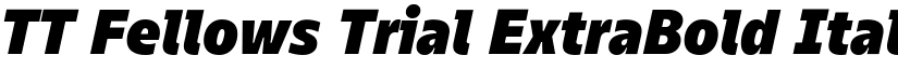 TT Fellows Trial ExtraBold Italic font