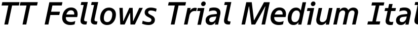TT Fellows Trial Medium Italic font