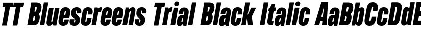 TT Bluescreens Trial Black Italic font