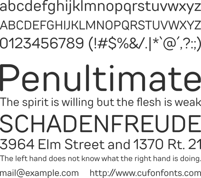TT Rounds Neue Trial font preview