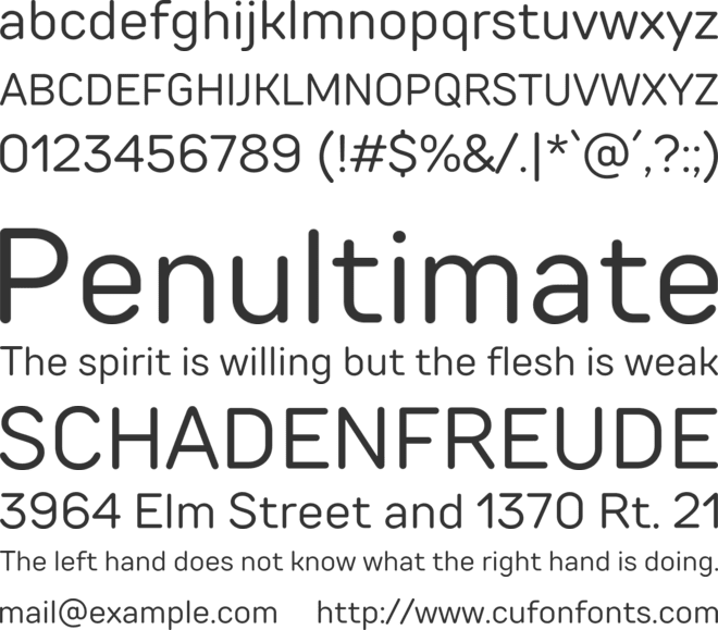 TT Rounds Neue Trial font preview