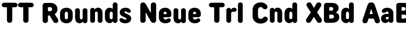 TT Rounds Neue Trl Cnd XBd font